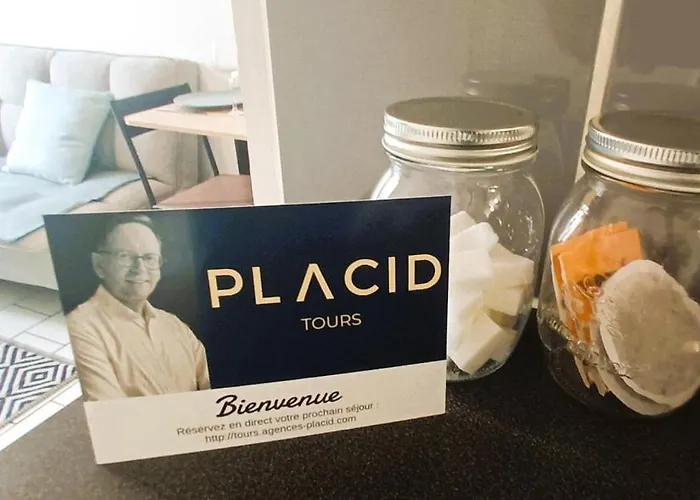 La Terrasse, T2 Proche Gare, Wifi, Tv Hd, Grande Terrasse Tours